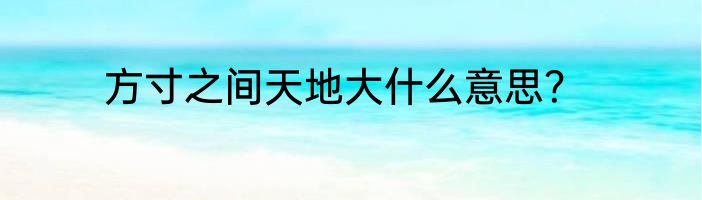 方寸之间天地大什么意思？
