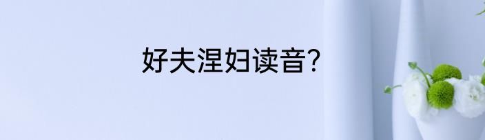 好夫涅妇读音？