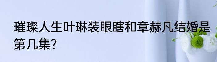 璀璨人生叶琳装眼瞎和章赫凡结婚是第几集？