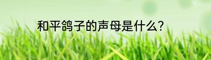和平鸽子的声母是什么？