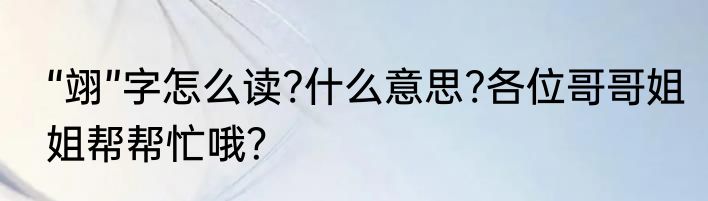 “翊”字怎么读?什么意思?各位哥哥姐姐帮帮忙哦?