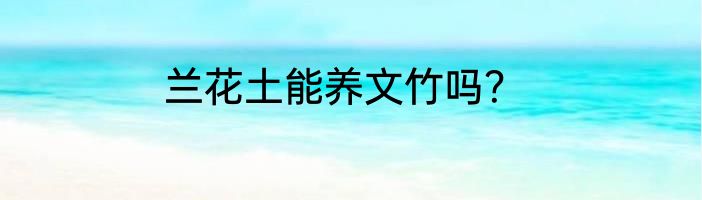 兰花土能养文竹吗？