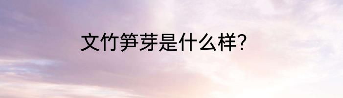 文竹笋芽是什么样？