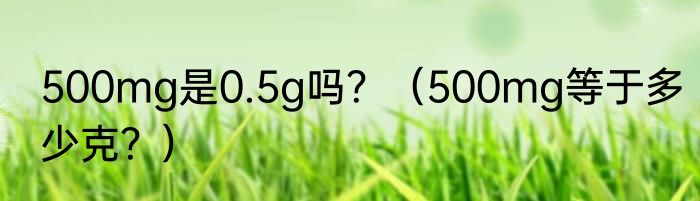 500mg是0.5g吗？（500mg等于多少克？）