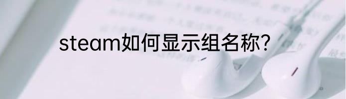 steam如何显示组名称？