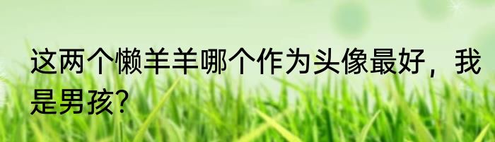 这两个懒羊羊哪个作为头像最好，我是男孩？