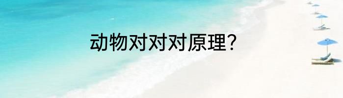 动物对对对原理？