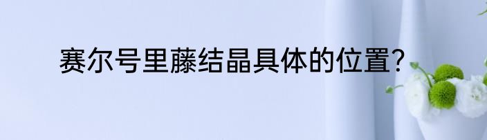赛尔号里藤结晶具体的位置？