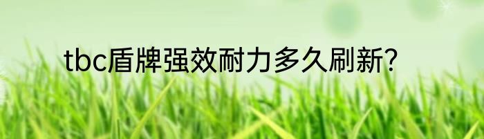 tbc盾牌强效耐力多久刷新？