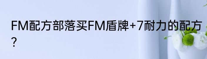 FM配方部落买FM盾牌+7耐力的配方？