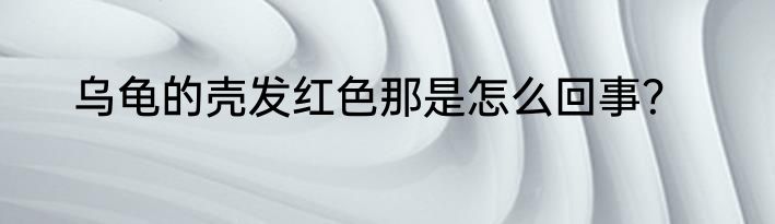 乌龟的壳发红色那是怎么回事？