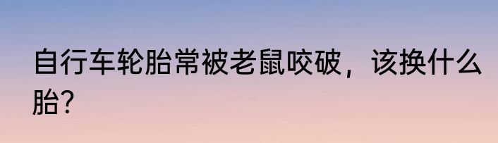 自行车轮胎常被老鼠咬破，该换什么胎？