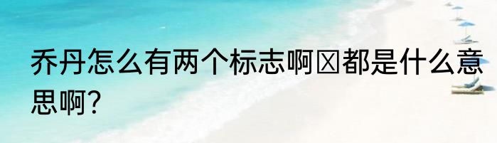 乔丹怎么有两个标志啊 都是什么意思啊？