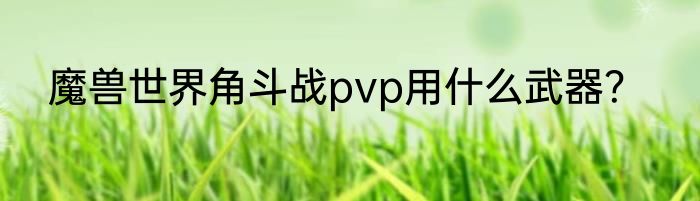 魔兽世界角斗战pvp用什么武器？