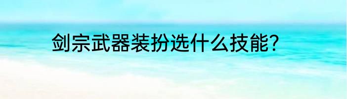 剑宗武器装扮选什么技能？