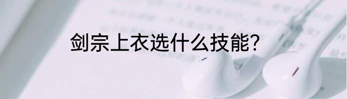 剑宗上衣选什么技能？
