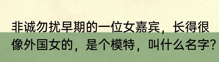 非诚勿扰早期的一位女嘉宾，长得很像外国女的，是个模特，叫什么名字？