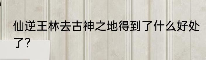 仙逆王林去古神之地得到了什么好处了？