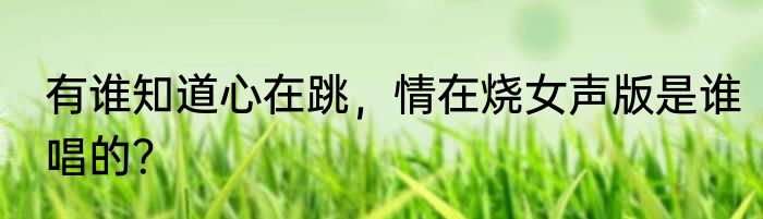 有谁知道心在跳，情在烧女声版是谁唱的？