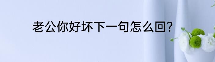 老公你好坏下一句怎么回？