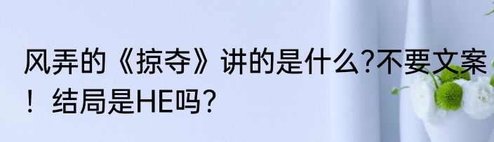 风弄的《掠夺》讲的是什么?不要文案!结局是HE吗?