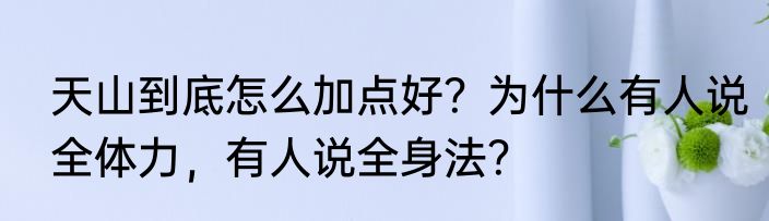 天山到底怎么加点好?为什么有人说全体力,有人说全身法?