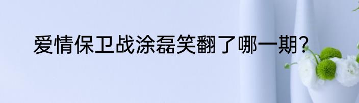 爱情保卫战涂磊笑翻了哪一期？