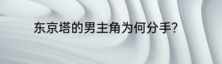 东京塔的男主角为何分手？