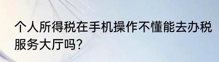 个人所得税在手机操作不懂能去办税服务大厅吗？
