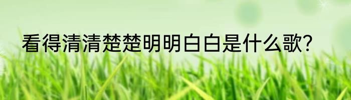 看得清清楚楚明明白白是什么歌？