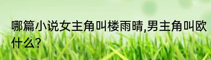 哪篇小说女主角叫楼雨晴,男主角叫欧什么？