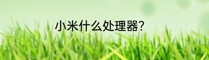 小米什么处理器？
