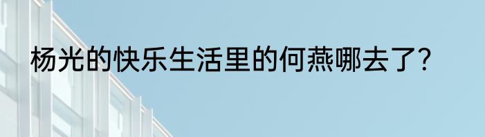 杨光的快乐生活里的何燕哪去了？