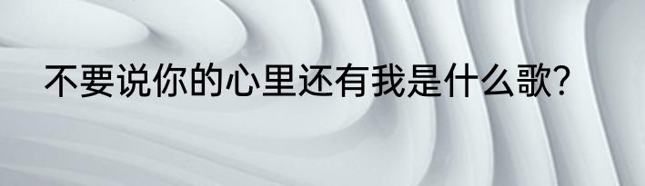 不要说你的心里还有我是什么歌？
