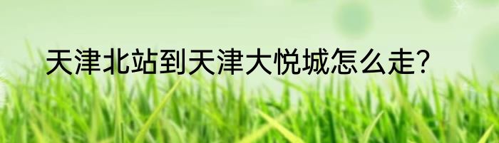天津北站到天津大悦城怎么走？