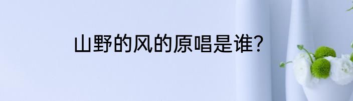 山野的风的原唱是谁？