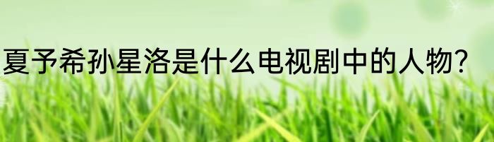 夏予希孙星洛是什么电视剧中的人物？
