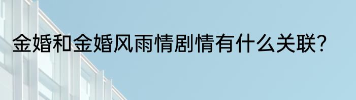 金婚和金婚风雨情剧情有什么关联？