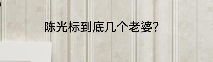 陈光标到底几个老婆？