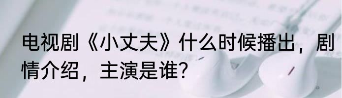 电视剧《小丈夫》什么时候播出，剧情介绍，主演是谁？