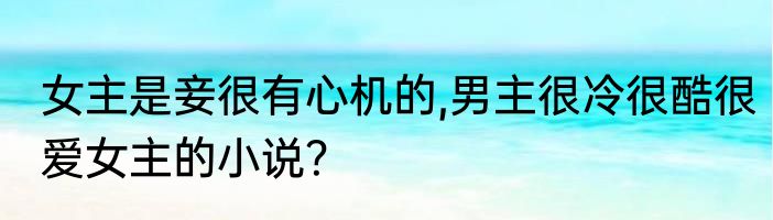 女主是妾很有心机的,男主很冷很酷很爱女主的小说？