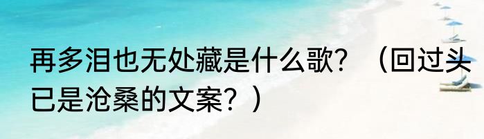 再多泪也无处藏是什么歌？（回过头已是沧桑的文案？）