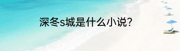 深冬s城是什么小说？
