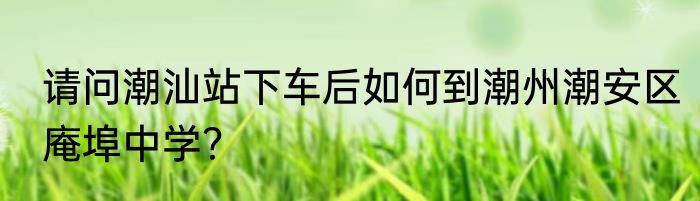 请问潮汕站下车后如何到潮州潮安区庵埠中学？