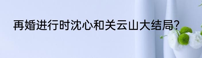 再婚进行时沈心和关云山大结局？