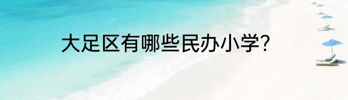 大足区有哪些民办小学？