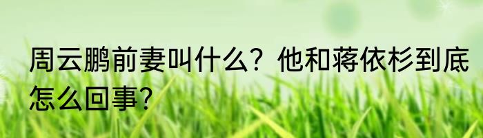 周云鹏前妻叫什么？他和蒋依杉到底怎么回事？