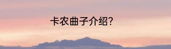 卡农曲子介绍？