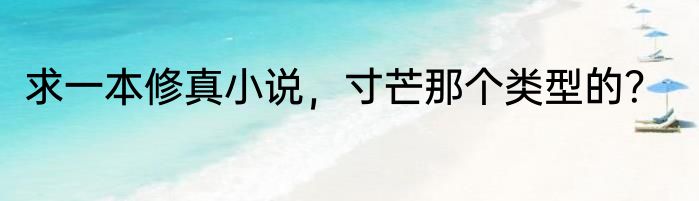 求一本修真小说，寸芒那个类型的？