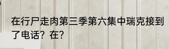 在行尸走肉第三季第六集中瑞克接到了电话？在？